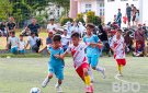 KẾ HOẠCH Tổ chức giải bóng đá thiếu niên nhi đồng xã Xuân Dương năm 2024